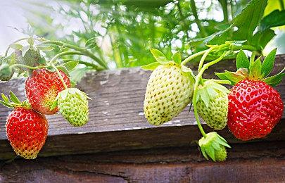 模拟经营游戏《超级赚钱的网络游戏模拟器》Steam页面上线 发售日待定